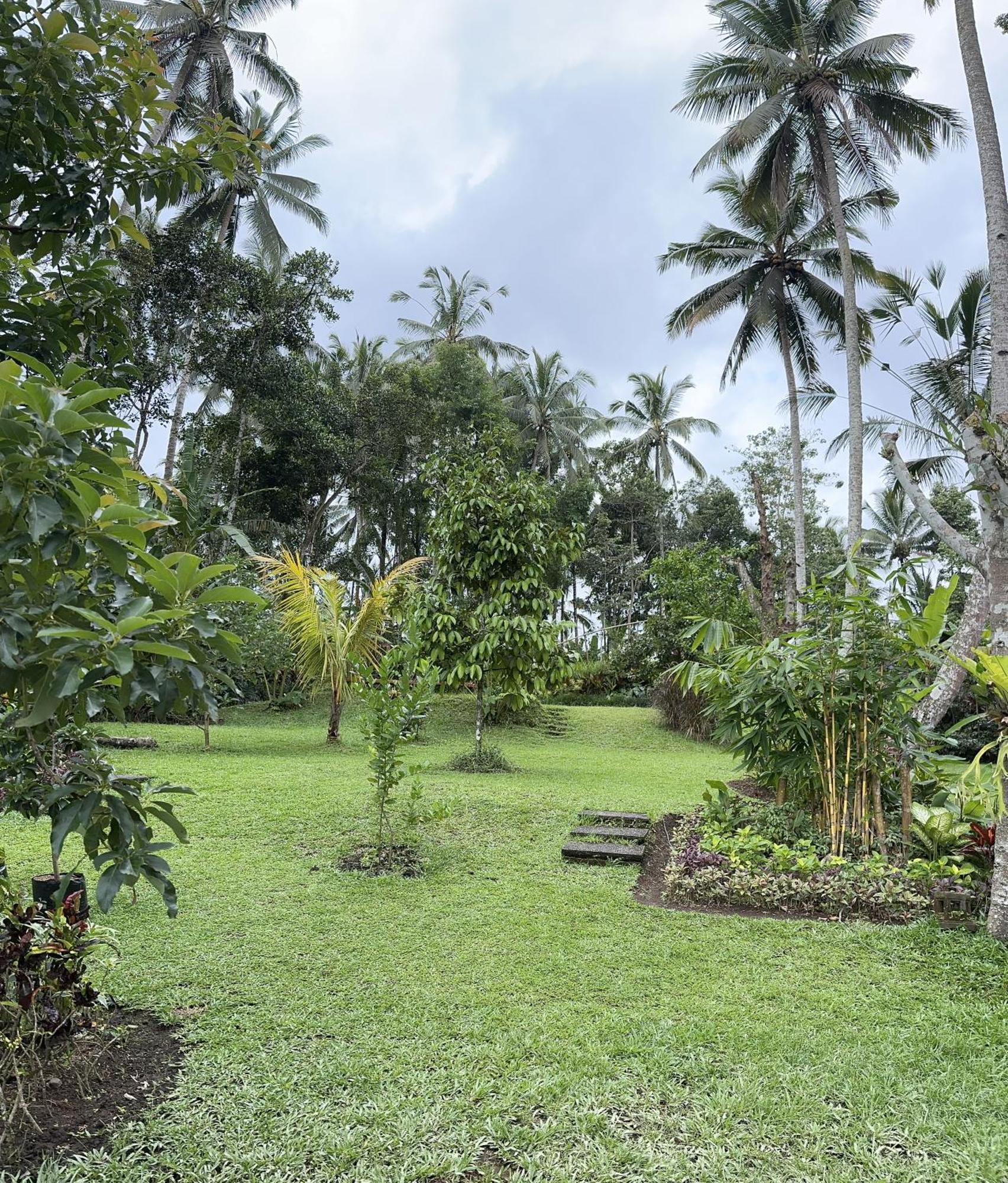 Kaja Villa Ubud  Bagian luar foto