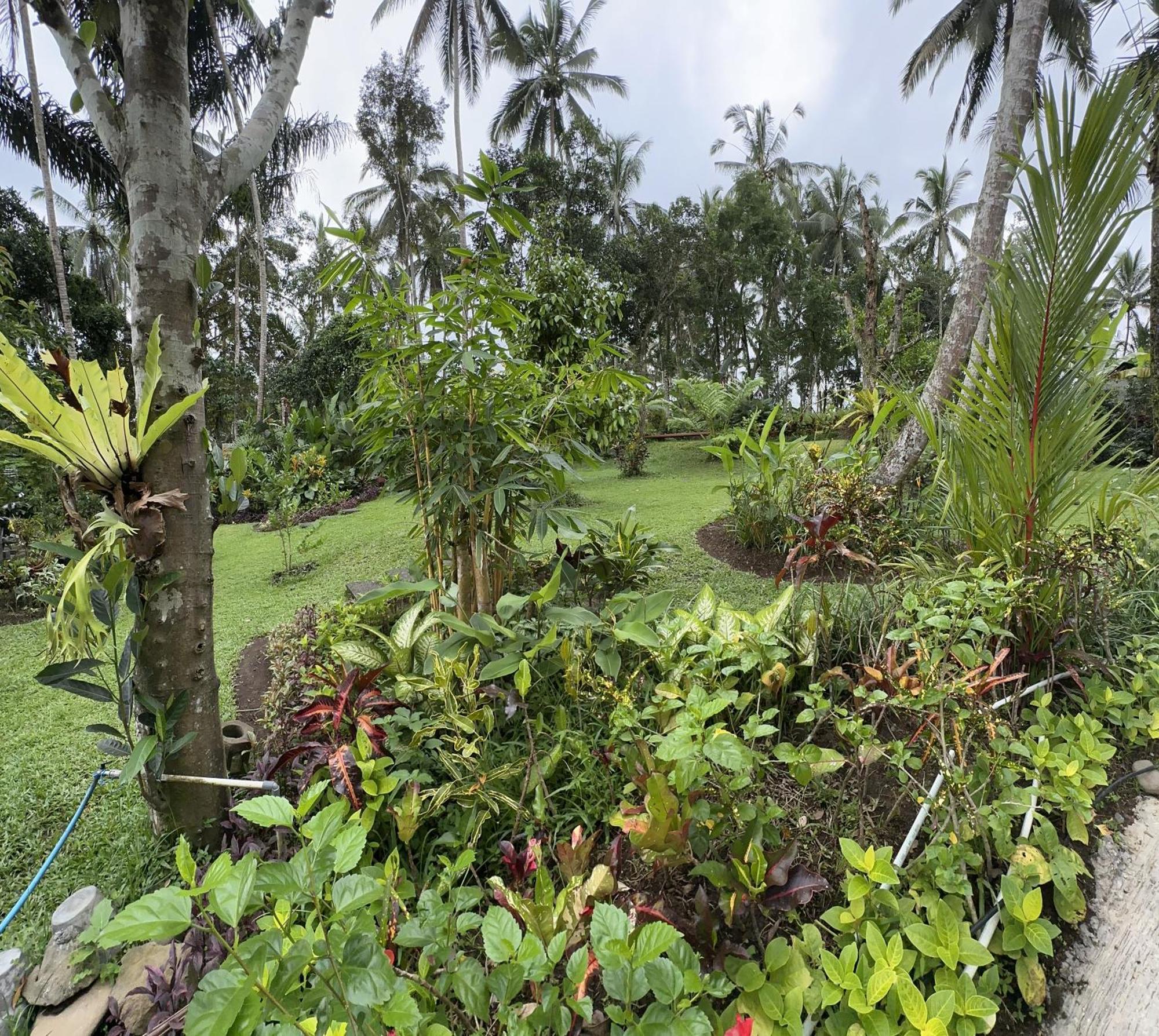 Kaja Villa Ubud  Bagian luar foto